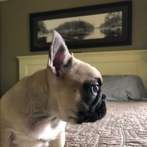 Meet your Posher, Sara